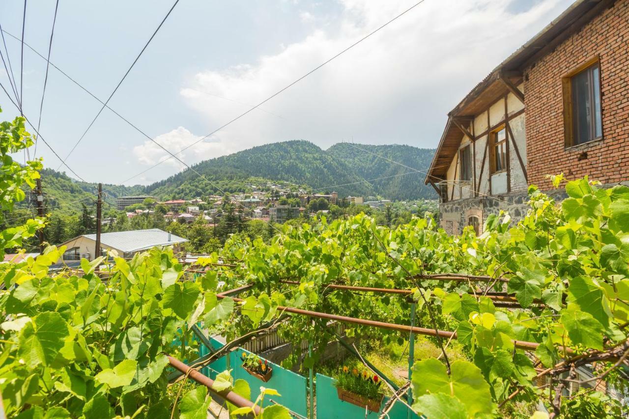 Mereti Hotel Borjomi Exterior photo
